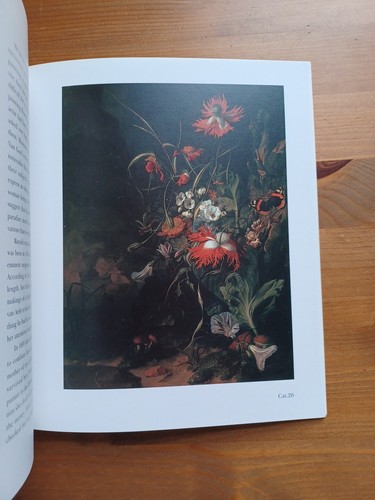 Dutch Flower Painting 1600-1750 - Paul Taylor /Dulwich Picture Gallery - Imagen 21 de 23