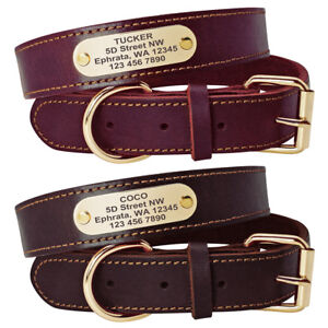 Personalised Leather Dog Collars 