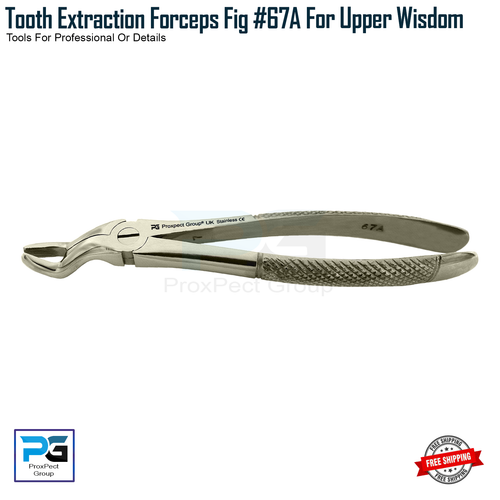 Dental Tooth Extraction Forceps Fig Upper Premolars Surgical Forceps Pinzas X3 - Picture 4 of 7