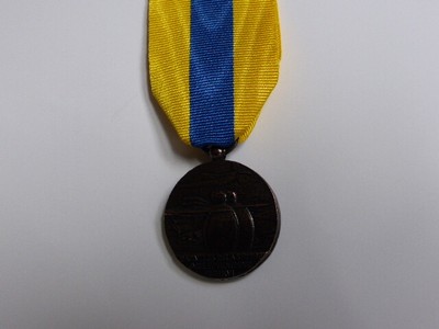 FULL SIZE SOMME MEDAL MEDALS COMMEMORATIVE WW1 /& WW2