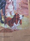 Bild 8 von 11
