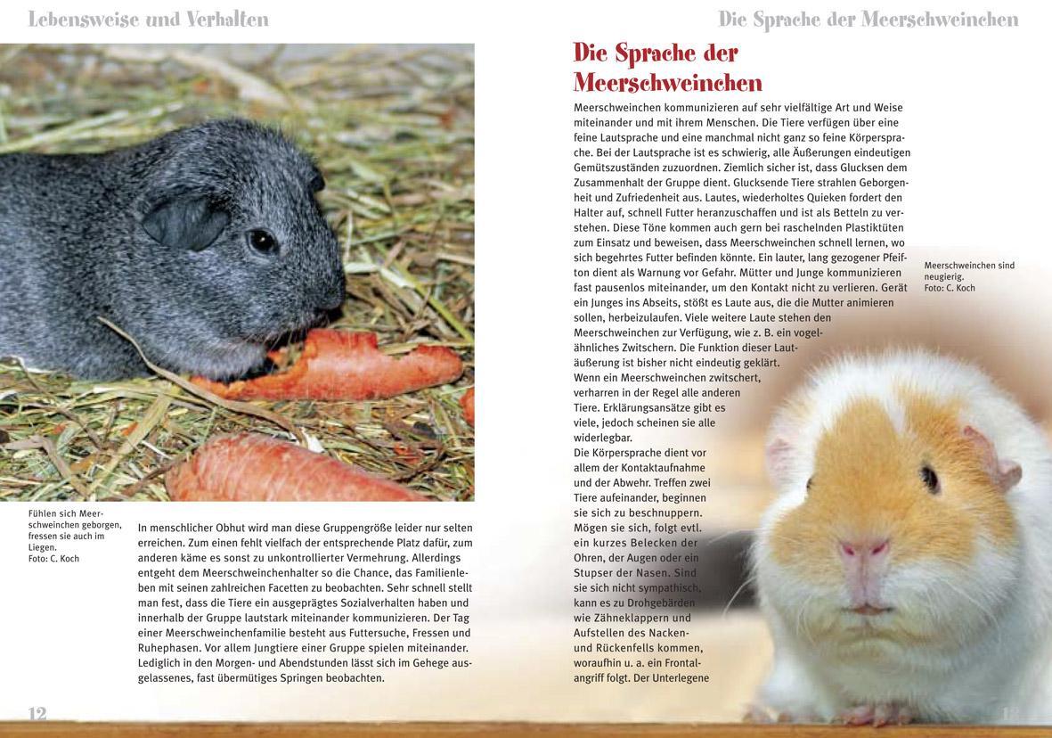 Thumbnail - Meerschweinchen Christian Koch 9783866591110