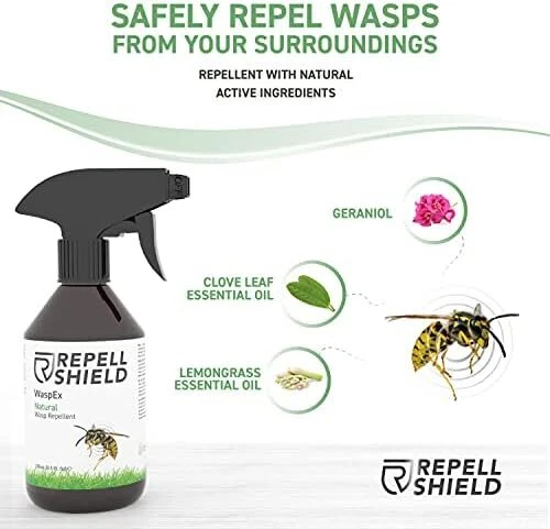Hornet repellent online