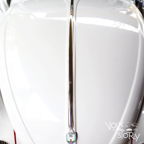 VW Beetle molding set for 1958-1967 ( for front hood molding is the long one) - Picture 4 of 6