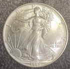 1992 American Silver Eagle 1 oz .999 Fine Silver Uncirculated Beautiful Coin!