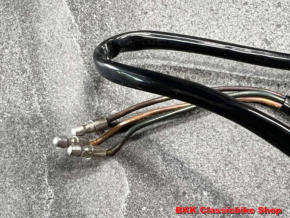 Nuevo de Lote Antiguo Yamaha YG1 YG1T YGS1 YJ1 YJ1K YJ2 YJ2S Interruptor de Manija de Palanca Derecha 122-82720-10 Foto 4 de 4