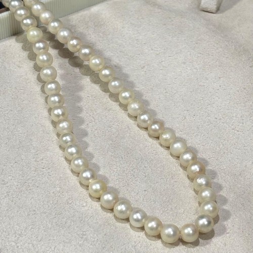 Collar de perlas Akoya plata blanca 6,1-6,3 mm 16,1 pulgadas de Japón - Imagen 12 de 24