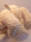 Bild 7 von 7