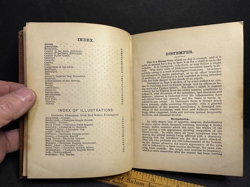 1886 Glover's Album Canine Diseases, Dog Treatise, Many Illustrations, 95 Pages - Picture 5 of 9