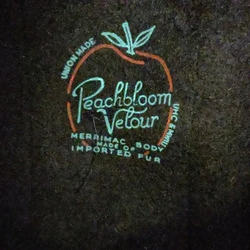 Vintage Peachbloom Velour Merrimac Body Black Cloche Hat Birdcage Netting Medium - Picture 6 of 13