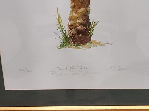 HAL MOORE "True Date Palm" Signed and Numbered 120/300 Framed fine art With COA - Imagen 3 de 7