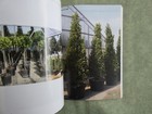 Foto 6 di 8