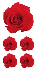 Scrapbooking Stickers Crafts Paper House Slim Red Roses Repeats