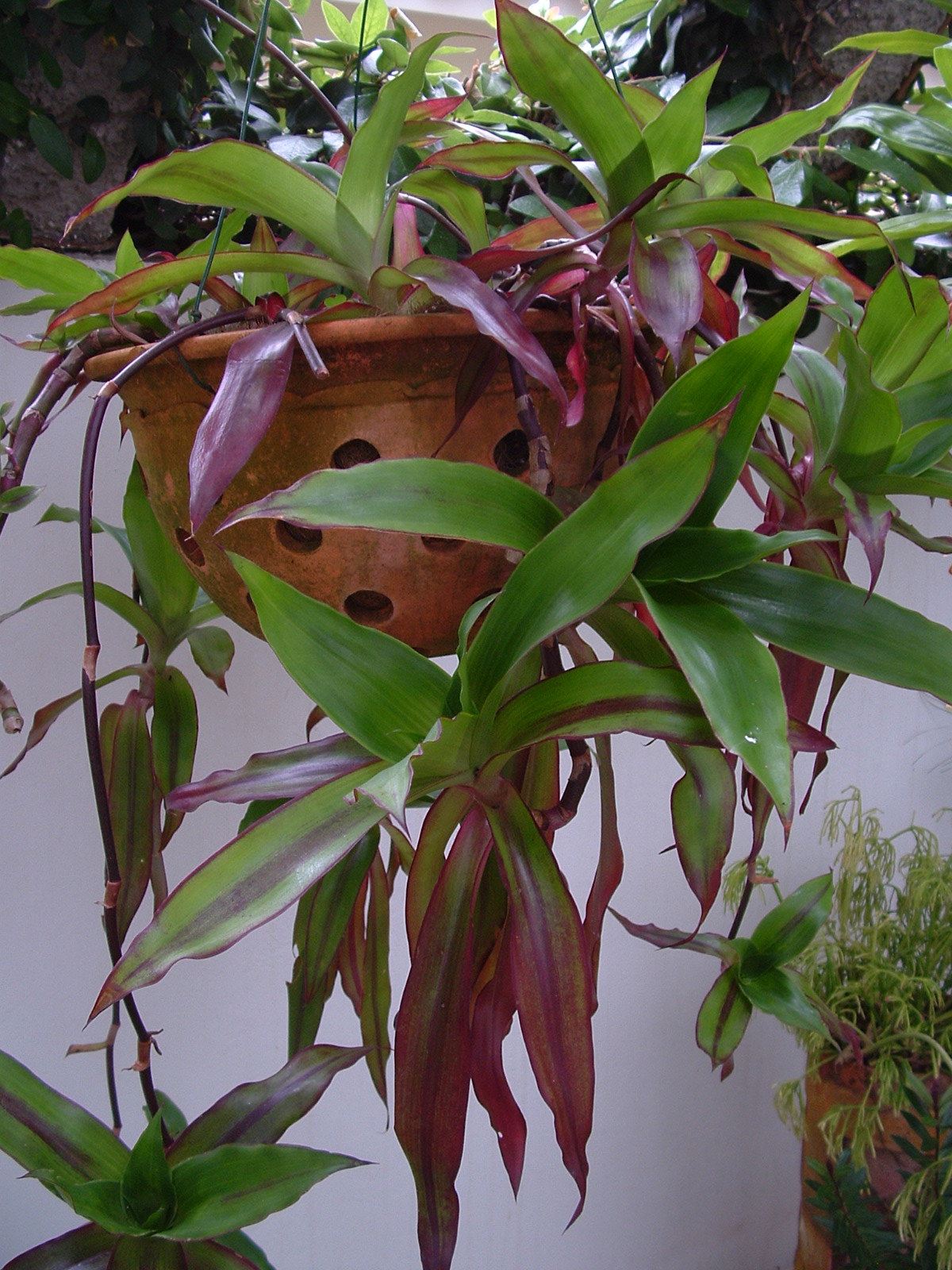 Bild 1 von 5