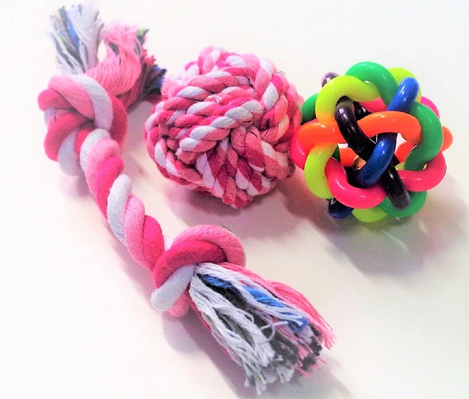 Juguetes masticables y chirriantes para perro cachorro perro y perro pequeño mediano. 6 piezas en el interior Foto 2 de 4