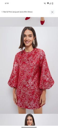 Hyacinth House Red & Pink Jacquard Janie Mini Dress - Medium M - Picture 3 of 9