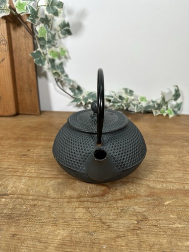 Teiera giapponese nera stile Tetsubin in ghisa con colino - Foto 2 di 11