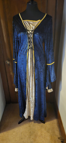 Renaissance Mid Evil Princess Brocade Velvet Ribbon Lace Vest Blue Gold Long - Picture 1 of 14