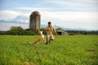 Bild 5 von 7