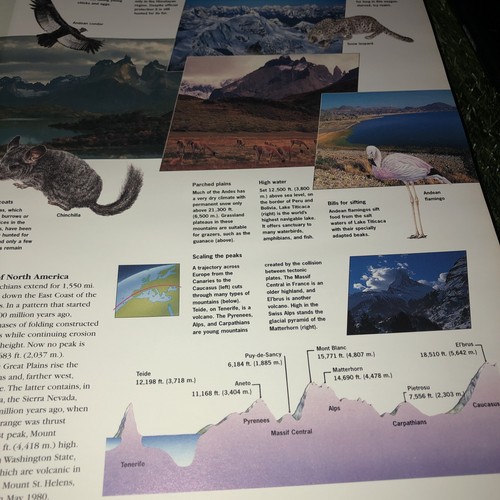 Reader's Digest Illustrated Great World Atlas - Picture 7 of 13