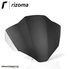 Scheinwerferverkleidung aus Carbon Ducati Streetfighter V4 1100 2020 RIZOMA Z...