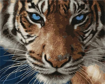 ARTNAPI Malen nach Zahlen auf Keilrahmen Tiger 50x40cm Bild Ausmalen nach Zahlen
