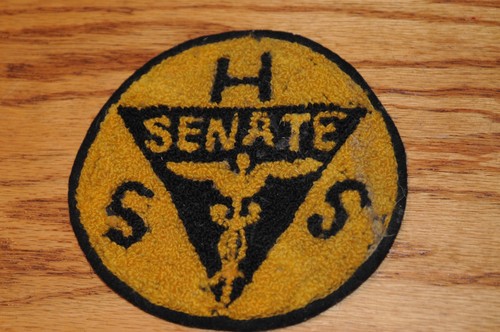 Vint. Rare Health Services Patch HSS Senate Historical Memorabilia Political US* - Picture 14 of 14