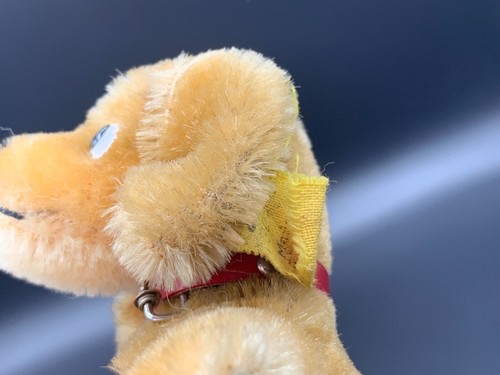 1950's German Steiff Mohair Hexie Dachshund Dog Button Flag Red Leather Collar - Picture 10 of 12