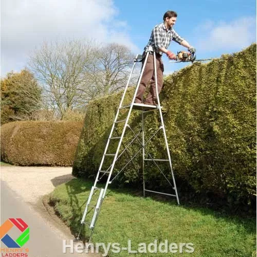 Henchman ladders 2024