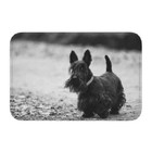 Scottish Terrier Dog Front Floor Door Mat Outdoor Scottie Bath Kitchen Doormat 