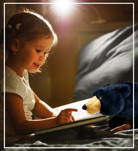SUPER SOFT PLUSH - WILD LARGE BLACK BEAR - Picture 6 of 7