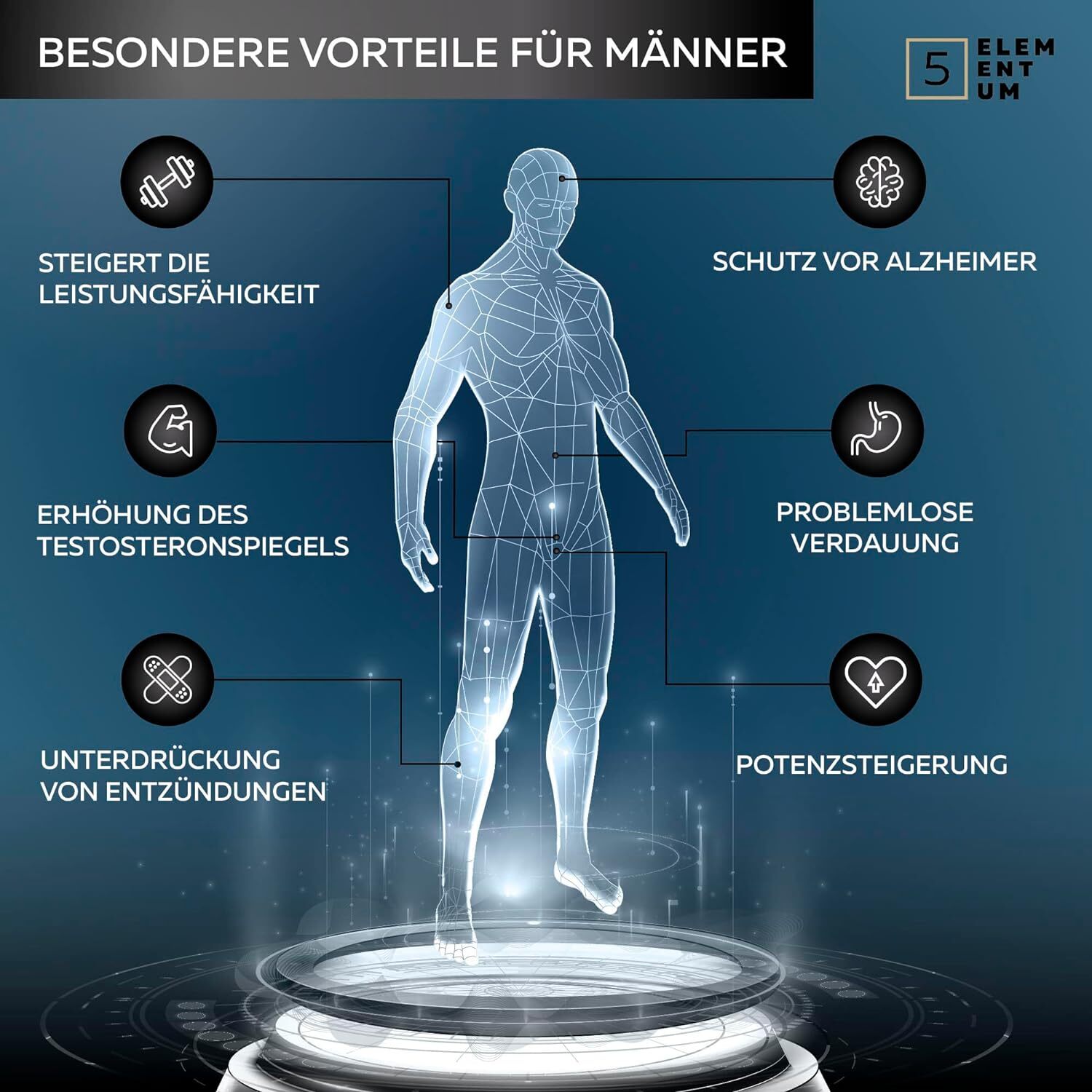 Bild 6 von 69