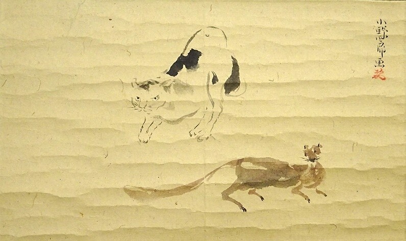 Foto 2 di 9