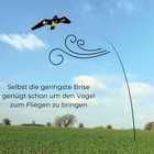 Bild 6 von 6