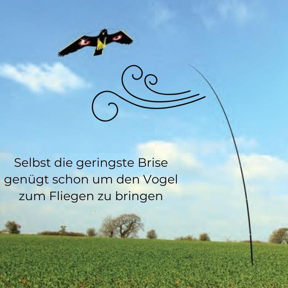 Bild 6 von 6