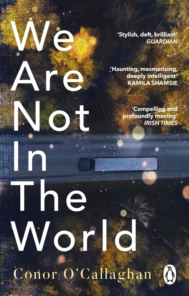 Thumbnail - We Are Not In The World | Conor O'callaghan | 2022 | Englisch