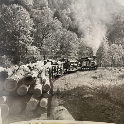 Vintage Steam Locomotive Logging Train Photo 4x5 B&W Gelatin Silver Original