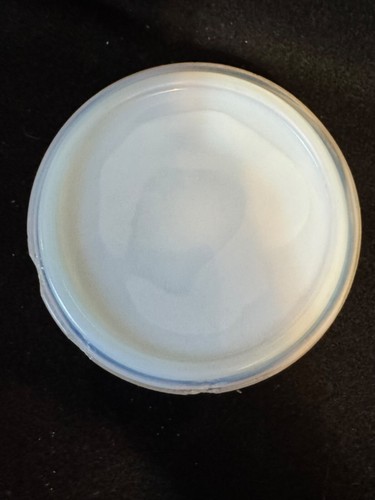 Vintage Fenton White Opalescent Milk Glass Hobnail Lidded Candy Dish 5” Tall - Picture 14 of 18