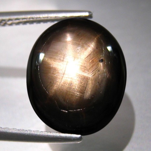8.81 CT 13x10 MM WONDERFUL 6 RAYS SPARKLING NATURAL BLACK STAR SAPPHIRE GEMSTONE - Picture 3 of 3