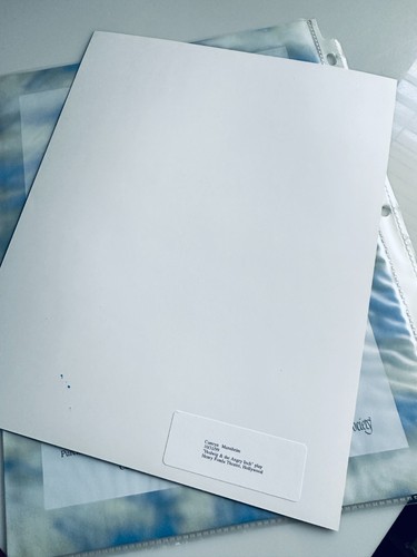 CAMRYN MANHEIM 8x10 Photo Autograph Signed W/ COA - Picture 2 of 3