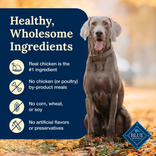 Blue Buffalo Delectables Natural Wet Dog Food Toppers, Tasty Chicken,3-oz,6 pack - Picture 7 of 11