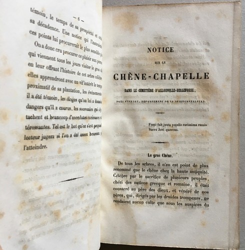 Notice sur le gros chêne d'Allouville ou chêne chapelle (Yvetot) — Mégard — 1856 - Imagen 6 de 12