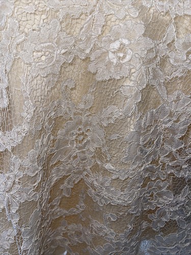 Stunning Light in the Box, Lace Cream Bridesmaids Short Dress W/ Train Size 21 - Picture 11 of 11