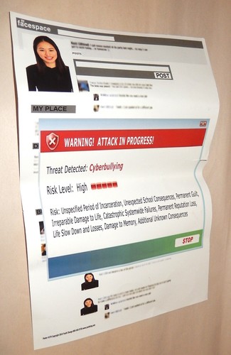 Youth Change Poster #279 School Anti Cyberbullying, Social Networking Warning - Picture 2 of 4