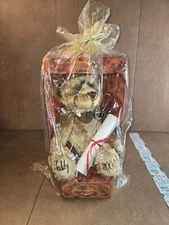 Millennium 2000 Aurora Growler Teddy