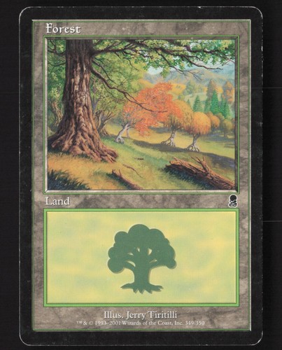 Basic Land #350 Forest Odyssey Magic MTG - Foto 2 di 3