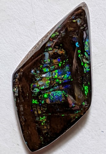 Impresionante ópalo fósil de madera de 12,4 quilates azul brillante verde forma libre QLD - Imagen 10 de 12