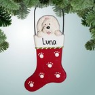 Maltese in Stocking - Dog - New Puppy - Pet - Personalized Ornament