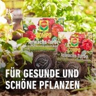 Bild 8 von 12