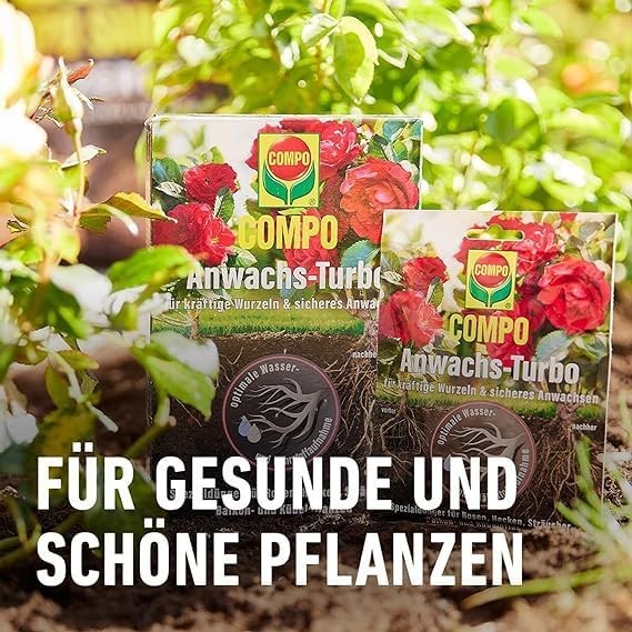 Bild 8 von 12